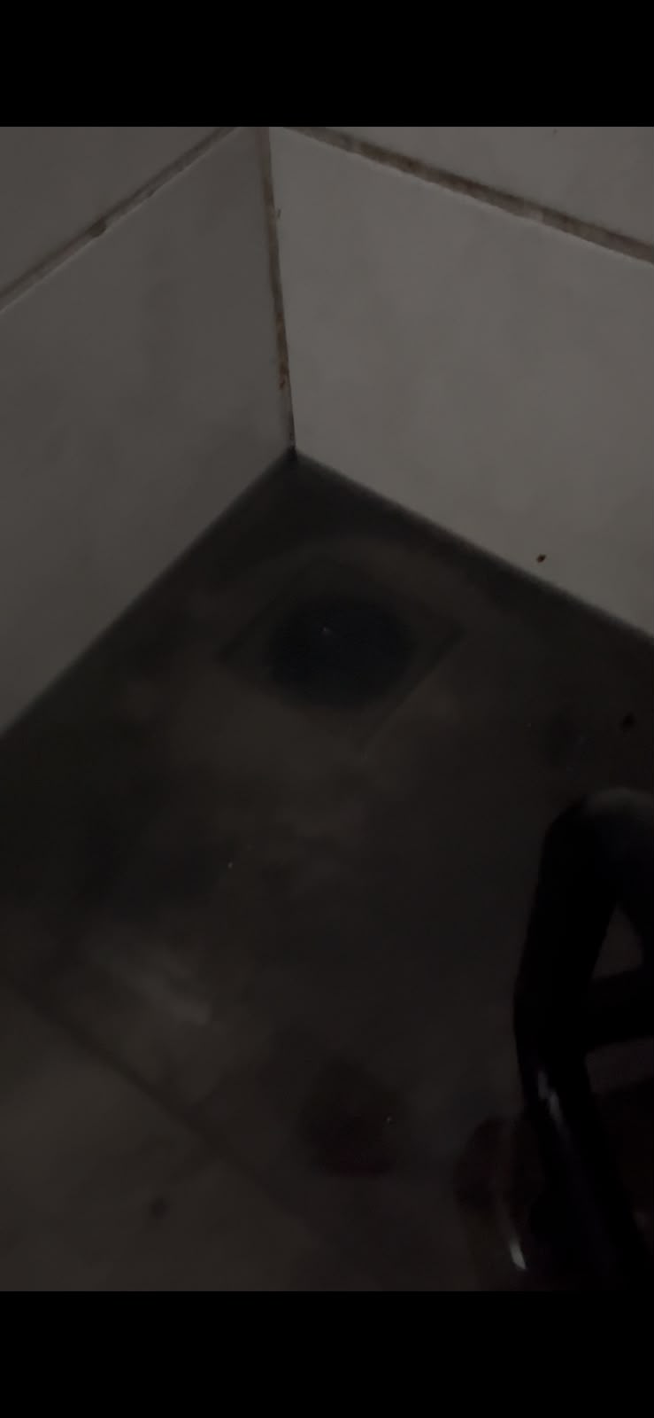 Exemplo Serviço 1